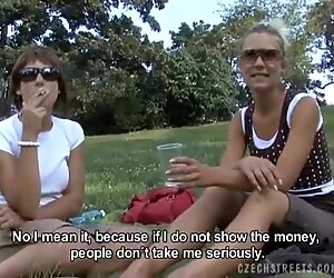 Brunette teen fucked in the park after some drink